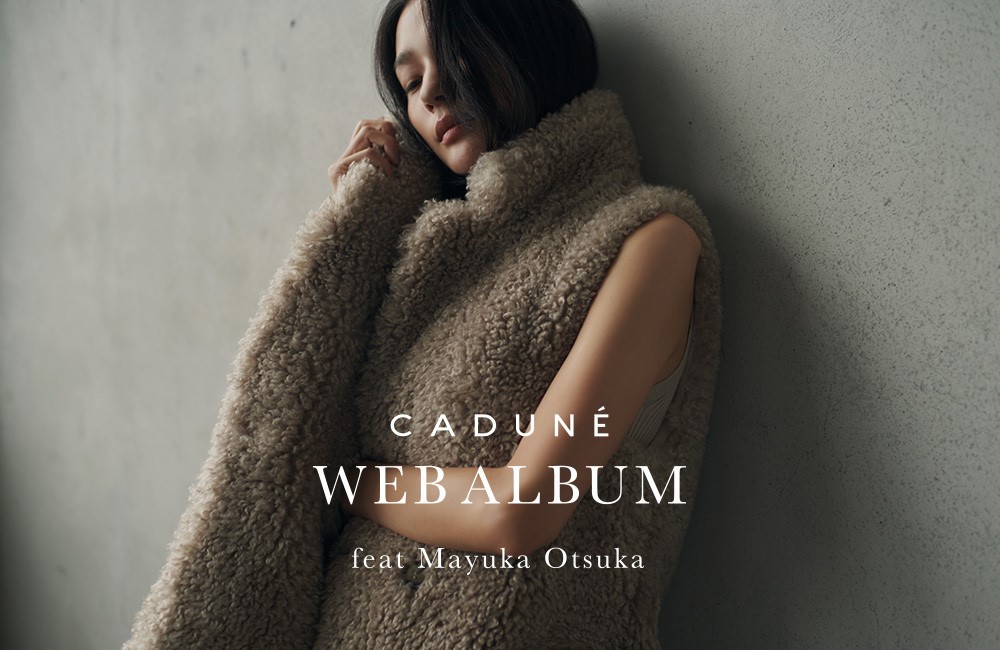 極美品 脆弱 CADUNE カデュネ セットアップ ブラウン 38 40